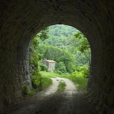 Villa Franka 113 Bašanija エクステリア 写真