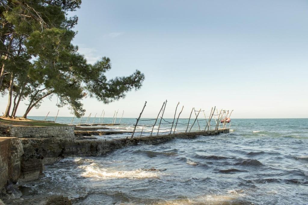 Villa Franka 113 Bašanija エクステリア 写真