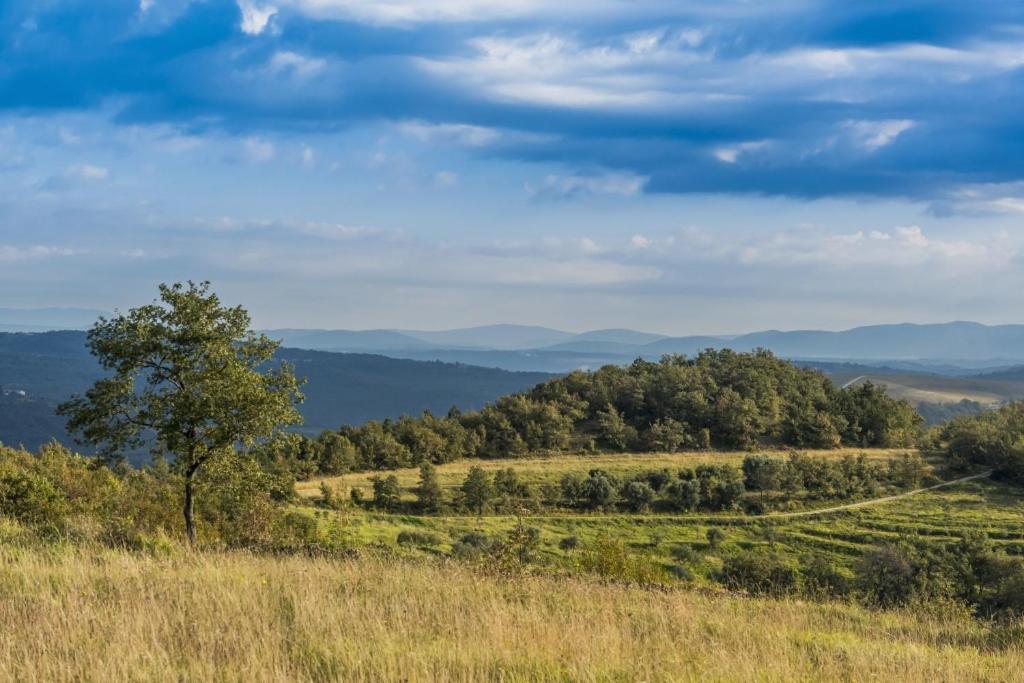 Villa Franka 113 Bašanija エクステリア 写真