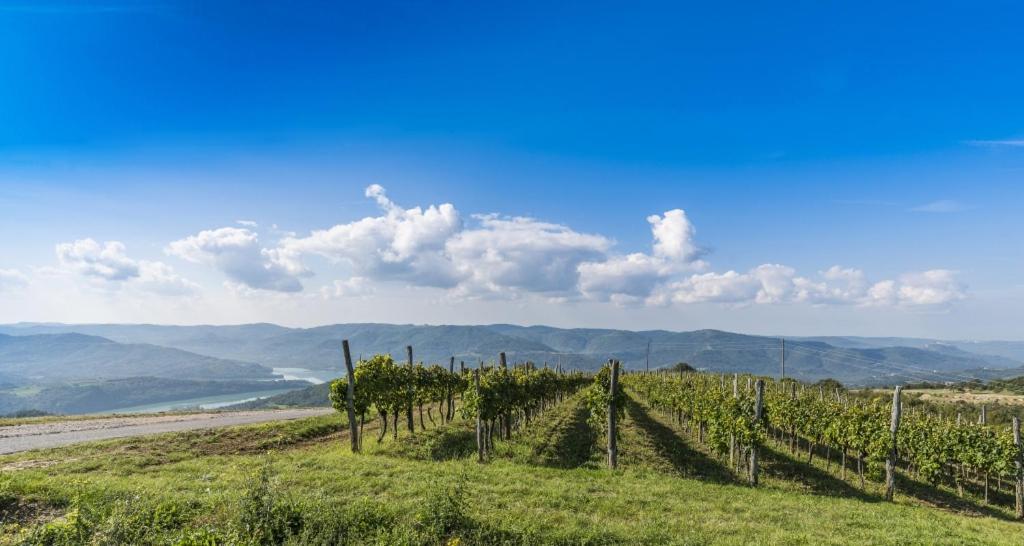 Villa Franka 113 Bašanija エクステリア 写真